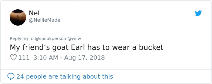 14 Pics Of Misbehaving Goats That Were Forced To Wear Pool Noodles For Everyone's Safety 14 Pics Of Misbehaving Goats That Were Forced To Wear Pool Noodles For Everyone's Safety