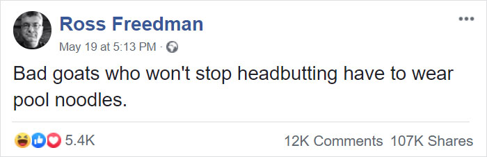 14 Pics Of Misbehaving Goats That Were Forced To Wear Pool Noodles For Everyone's Safety 14 Pics Of Misbehaving Goats That Were Forced To Wear Pool Noodles For Everyone's Safety