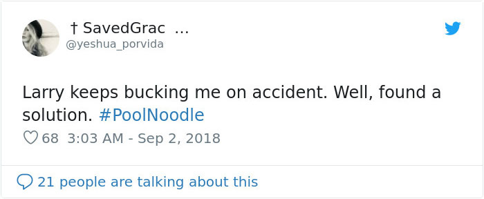 14 Pics Of Misbehaving Goats That Were Forced To Wear Pool Noodles For Everyone's Safety 14 Pics Of Misbehaving Goats That Were Forced To Wear Pool Noodles For Everyone's Safety