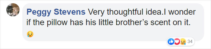 After This Dog's Brother Died, His Owner Bought Him A Pillow With Brother's Face To Bring Comfort