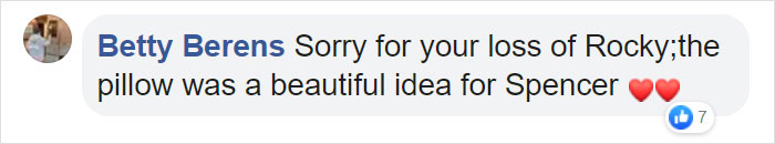 After This Dog's Brother Died, His Owner Bought Him A Pillow With Brother's Face To Bring Comfort