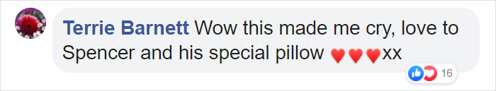 After This Dog's Brother Died, His Owner Bought Him A Pillow With Brother's Face To Bring Comfort