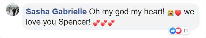 After This Dog's Brother Died, His Owner Bought Him A Pillow With Brother's Face To Bring Comfort After This Dog's Brother Died, His Owner Bought Him A Pillow With Brother's Face To Bring Comfort