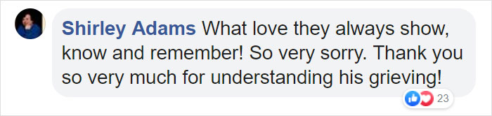 After This Dog's Brother Died, His Owner Bought Him A Pillow With Brother's Face To Bring Comfort After This Dog's Brother Died, His Owner Bought Him A Pillow With Brother's Face To Bring Comfort