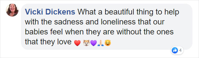 After This Dog's Brother Died, His Owner Bought Him A Pillow With Brother's Face To Bring Comfort After This Dog's Brother Died, His Owner Bought Him A Pillow With Brother's Face To Bring Comfort