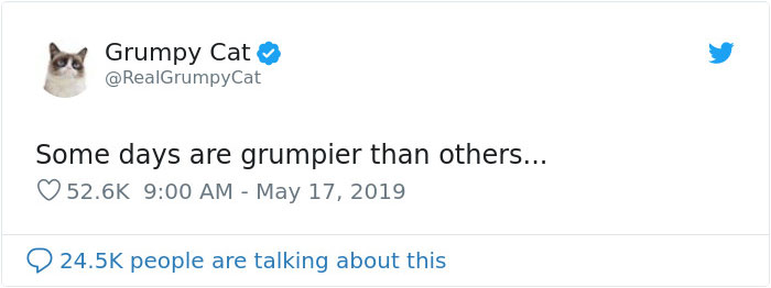 Grumpy Cat Dies Aged 7