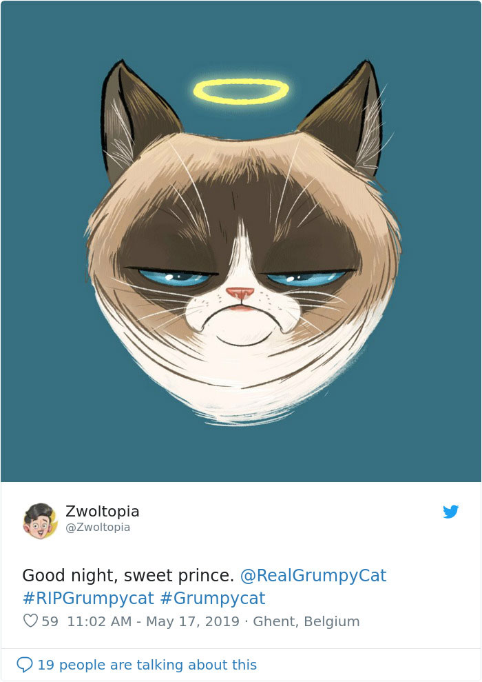 Grumpy Cat Dies Aged 7