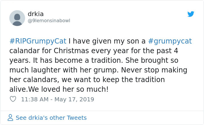 Grumpy Cat Dies Aged 7 Grumpy Cat Dies Aged 7