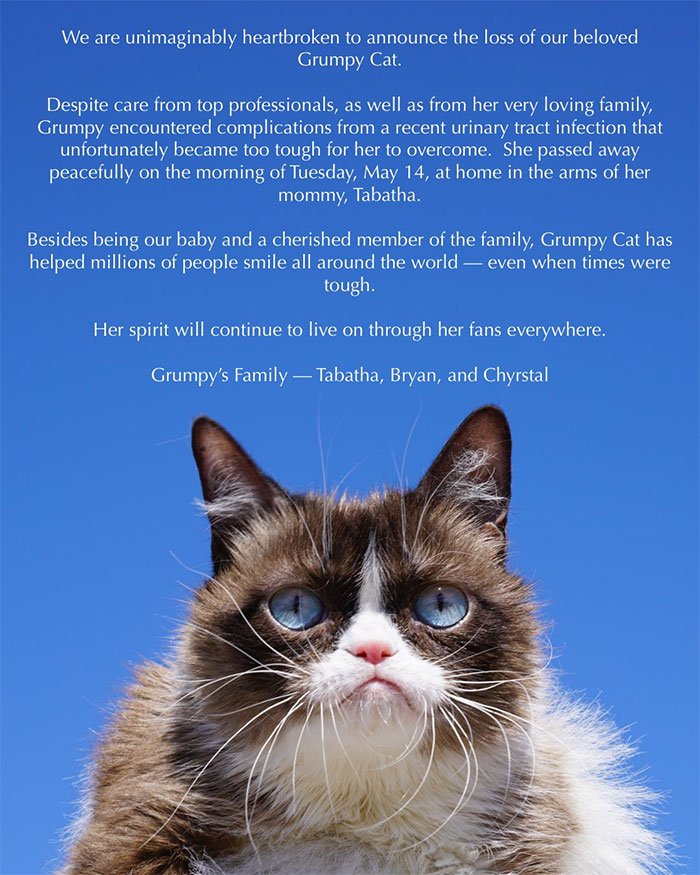Grumpy Cat Dies Aged 7