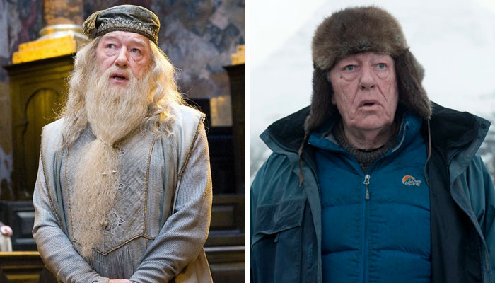 Michael Gambon (Albus Dumbledore)
