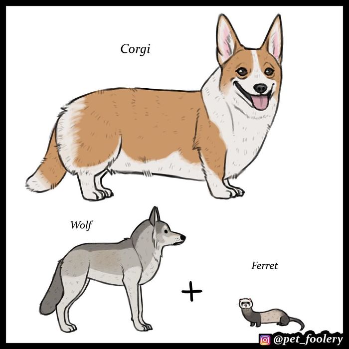 Artist Imagines The Origins Of 'Unique Dog Breeds' And They're Ridiculously Hilarious