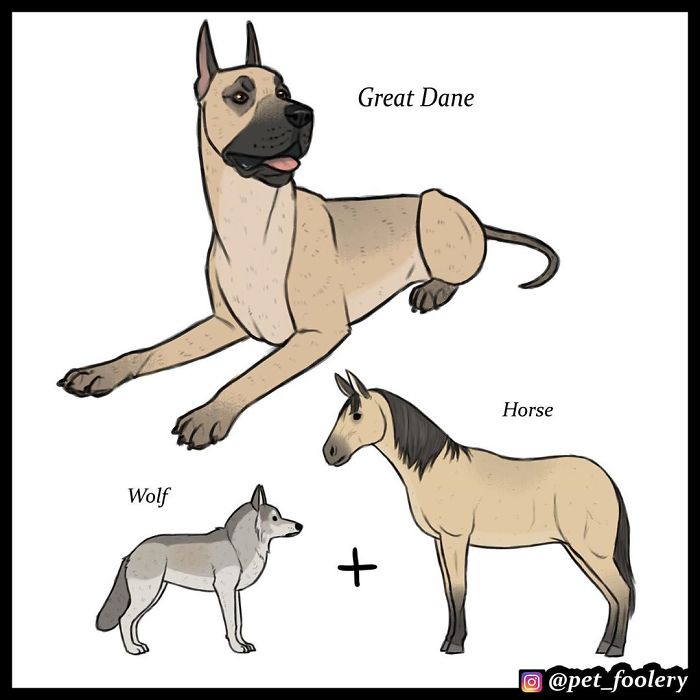 Artist Imagines The Origins Of 'Unique Dog Breeds' And They're Ridiculously Hilarious