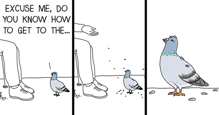 I Show What Birds Would Say If They Could Talk (26 Pics)