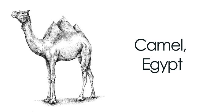 12 Illustrations That Combine Animals And The Architecture That’s Destroying Their Natural Habitat By An Ex-Architect