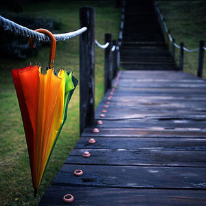 rieschelleroberts avatar