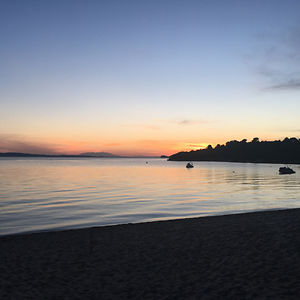 mechebuboleche1 avatar