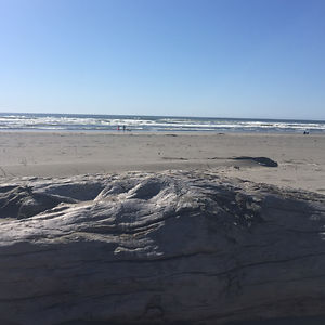 bostonemilyselfridge avatar