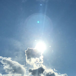 jennyleecollins avatar