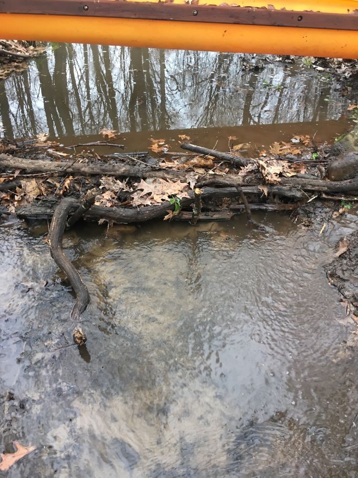 I Built A Dam From What I Could Find