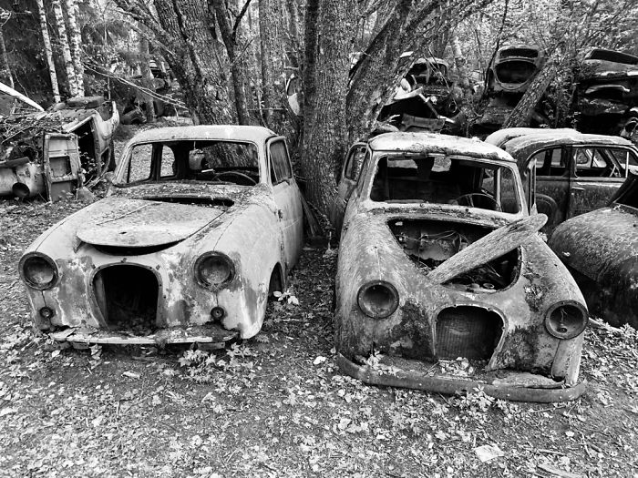 Car Cemetery In B&aring;stn&auml;s, Sweden