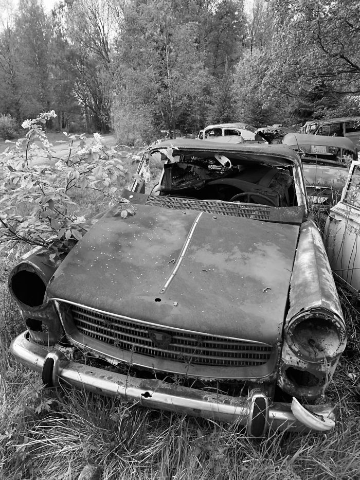 Car Cemetery In B&aring;stn&auml;s, Sweden