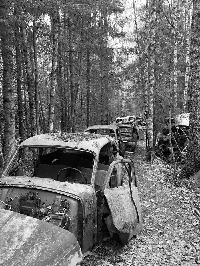 Car Cemetery In B&aring;stn&auml;s, Sweden