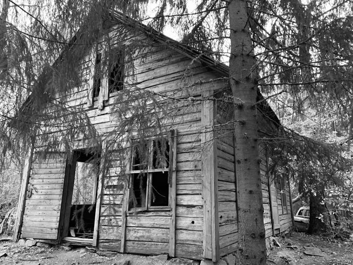 Car Cemetery In B&aring;stn&auml;s, Sweden