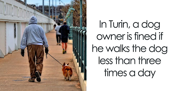 Here Are 10 Laws On Animal Protection From Different Countries That Might Help You Believe In Humanity Again