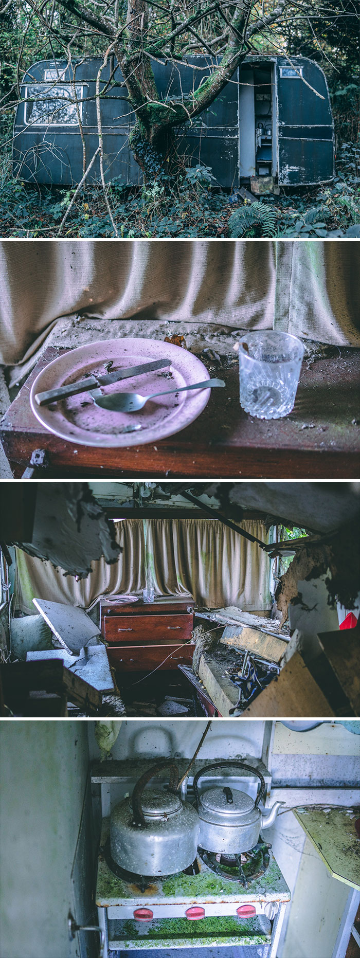 A Caravan Lost In The Woods