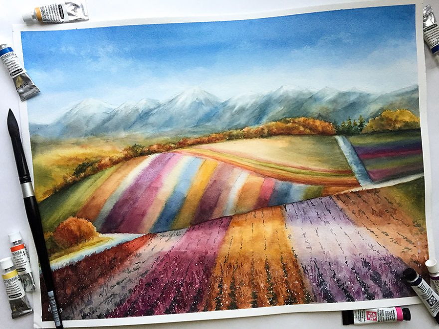 Flower Fields On The Island Of Hokkaido, Japan