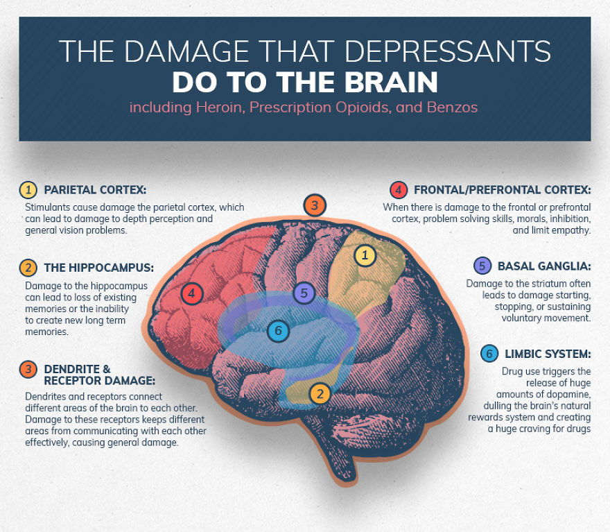 Illustrations Show The Damage Drugs And Alcohol Abuse Can Do To The Brain