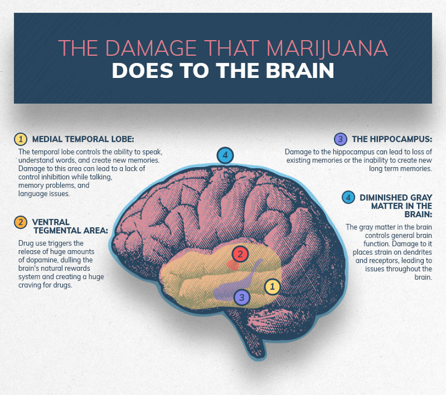 Illustrations Show The Damage Drugs And Alcohol Abuse Can Do To The Brain