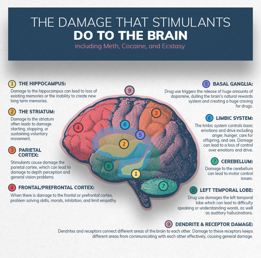 Illustrations Show The Damage Drugs And Alcohol Abuse Can Do To The Brain