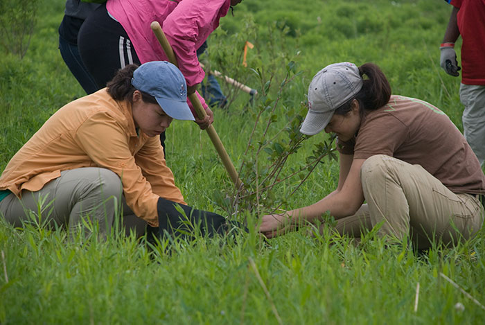 After A New Law, Students In Philippines Need To Plant 10 Trees To Graduate And It'll Result In 525 Million New Trees In One Generation After A New Law, Students In Philippines Need To Plant 10 Trees To Graduate And It'll Result In 525 Million New Trees In One Generation