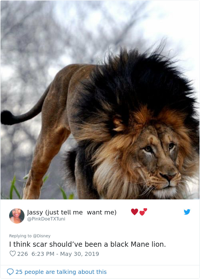 Disney Reveals Posters For 11 Main Characters In The New Lion King Movie