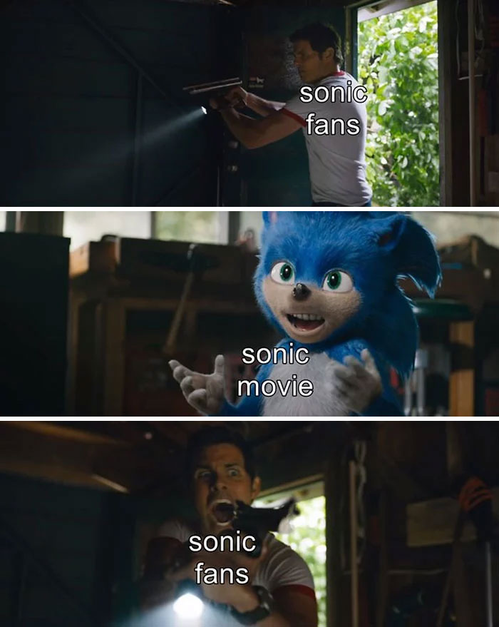 Live-Action-Sonic-The-Hedgehog-Memes