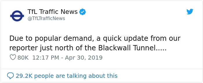 Two Seagulls - Graeme And Steve - Keep Showing Up On London Traffic Cam, Become Twitter-Famous