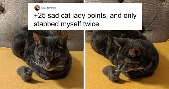 Woman Makes ‘A Cat Out Of Her Cat’ By Using Cat’s Hair And The Result Inspires Others To Do The Same