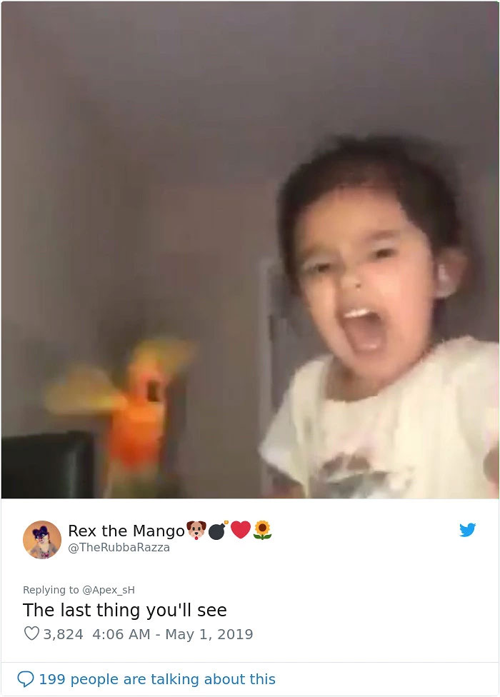 Girl Trains Her Bird To Attack People She Wants, And She Looks Like A Real Life Super Villain Girl Trains Her Bird To Attack People She Wants, And She Looks Like A Real Life Super Villain