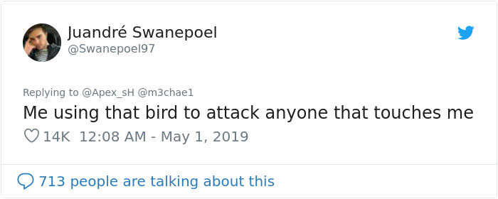 Girl Trains Her Bird To Attack People She Wants, And She Looks Like A Real Life Super Villain