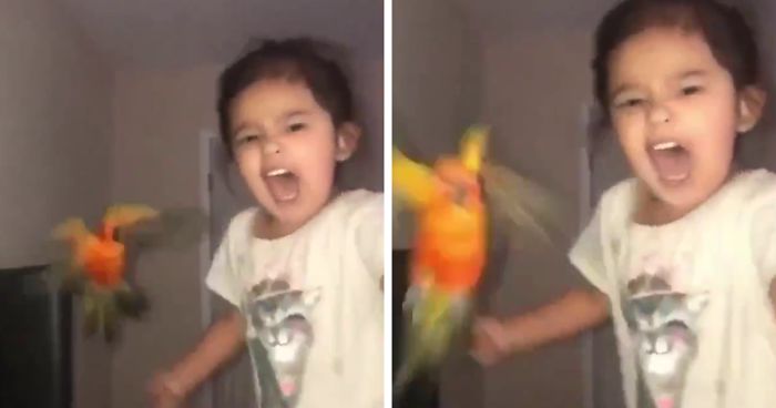 Girl Trains Her Bird To Attack People She Wants, And She Looks Like A Real Life Super Villain