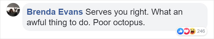 Octopus Attacks Woman That Tried To Eat It Alive