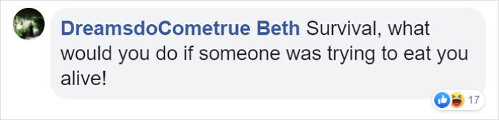 Octopus Attacks Woman That Tried To Eat It Alive