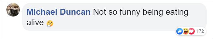 Octopus Attacks Woman That Tried To Eat It Alive