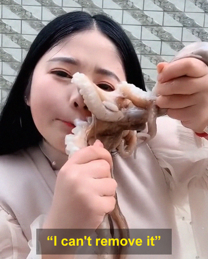 Octopus Attacks Woman That Tried To Eat It Alive