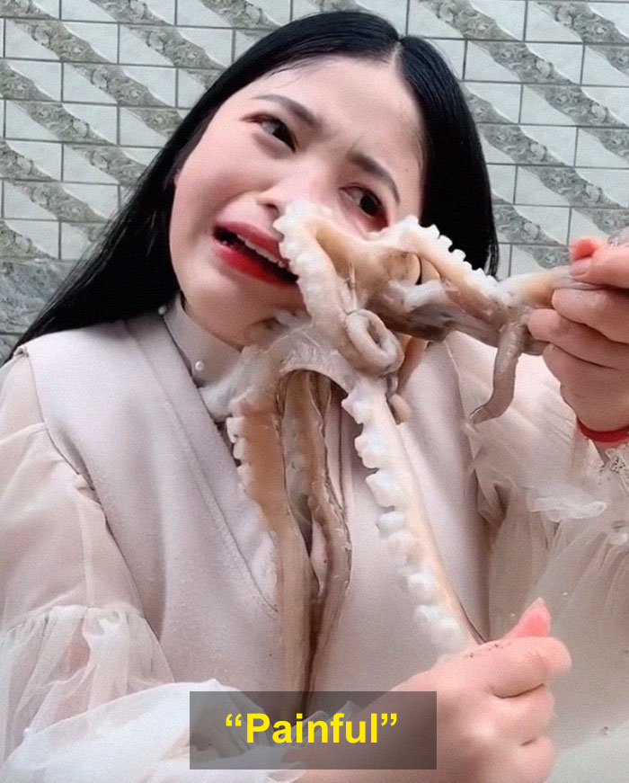 Octopus Attacks Woman That Tried To Eat It Alive