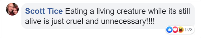 Octopus Attacks Woman That Tried To Eat It Alive