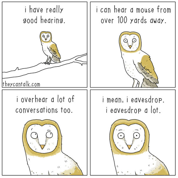 If Birds Could Talk, Here's What They Might Be Saying