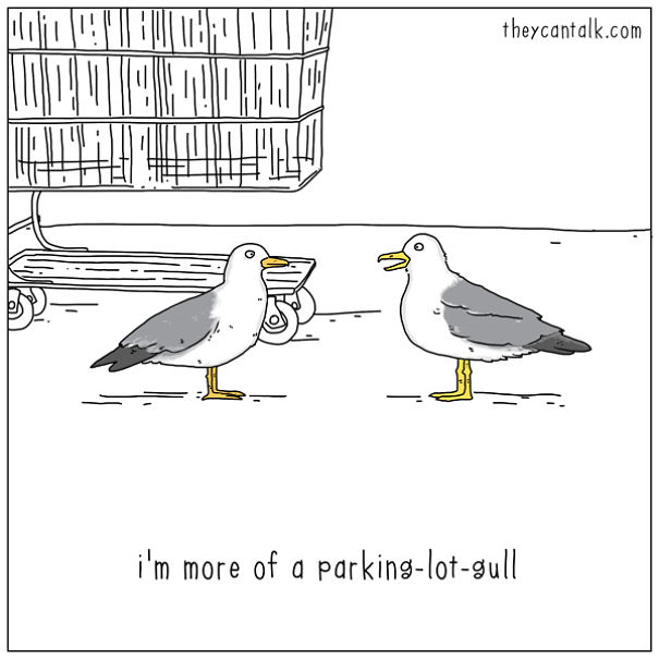 If Birds Could Talk, Here's What They Might Be Saying