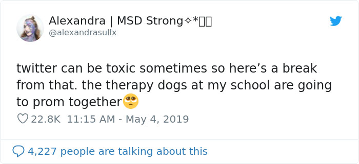 This School Dedicated A Yearbook Page To The Parkland Shooting Survivors&rsquo; Therapy Dogs